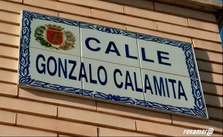 gonzalo calamita