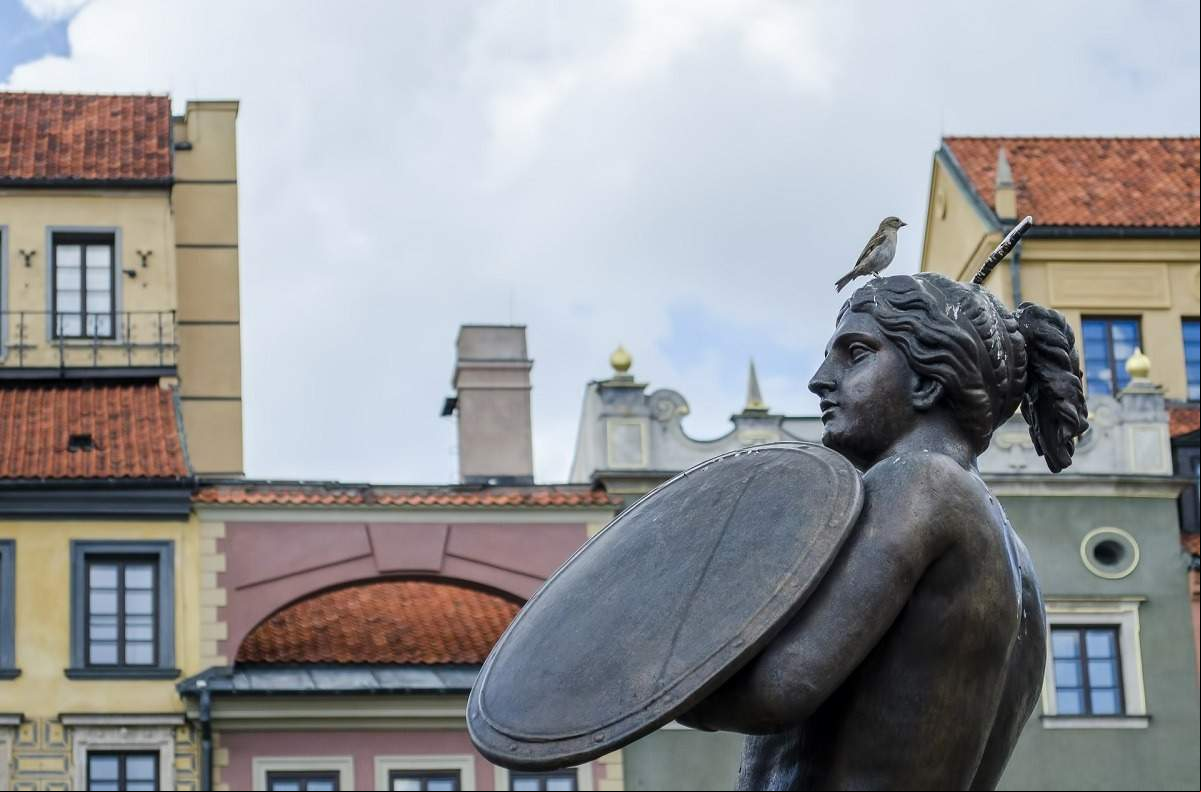 plaza mercado varsovia
