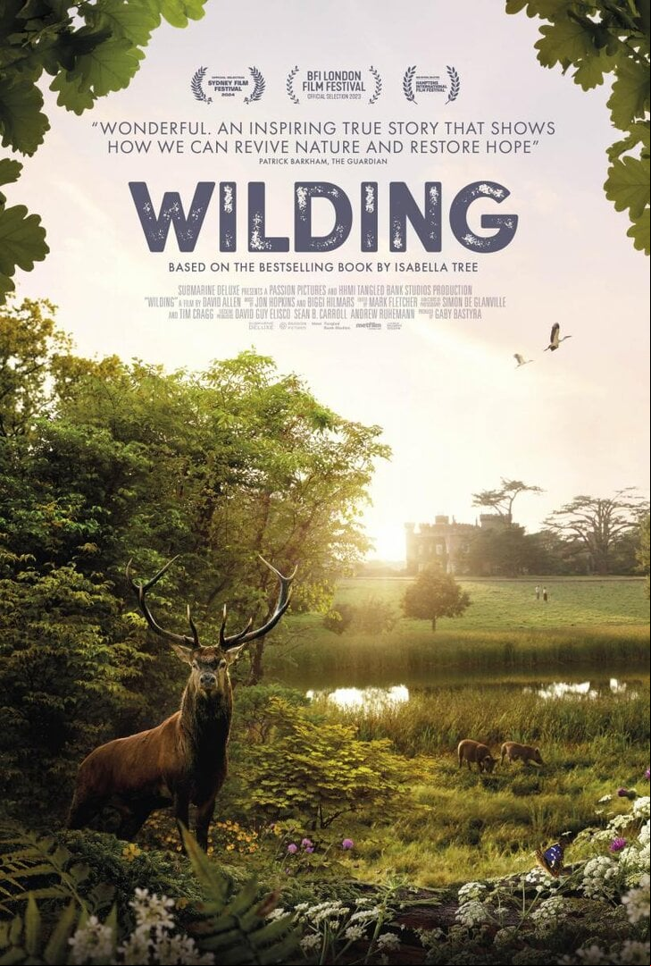 wilding-651173494-large